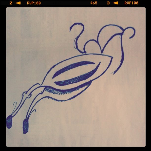 Creativity