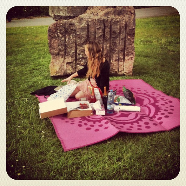 the nitpicker's picnic