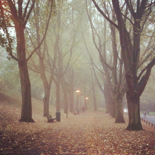 ULB campus