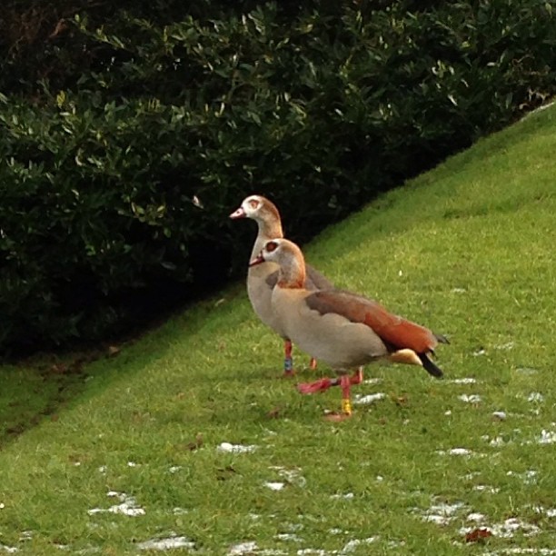 bezoek op de campus