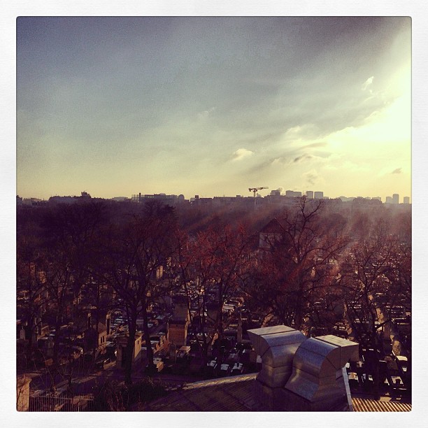 Room with a view