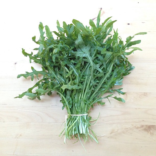 rucola