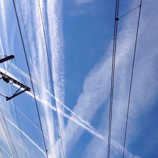 lines