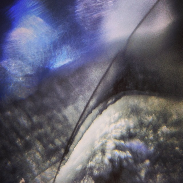 hair on tissue paper #iPhonoscope