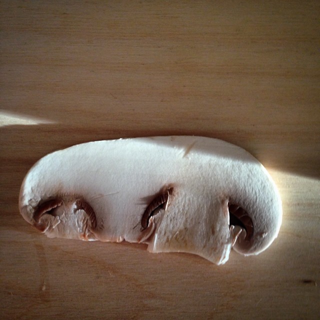 Champignon twins