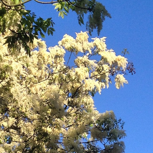 This must be spring!