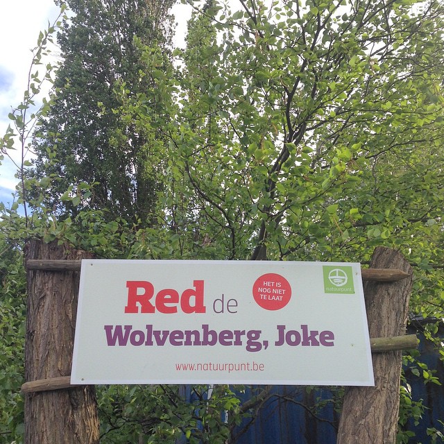 Voor een laatste stukske groen in Antwerpen!